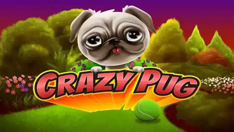 Crazy Pug
