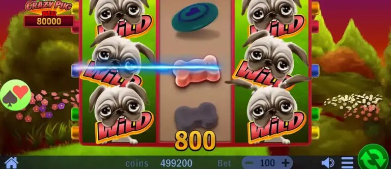 Crazy Pug