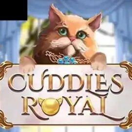 Cuddles Royal