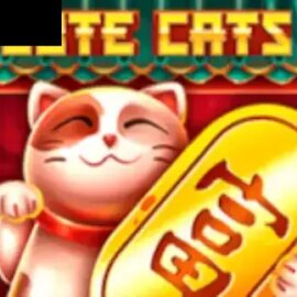 Cute Cats