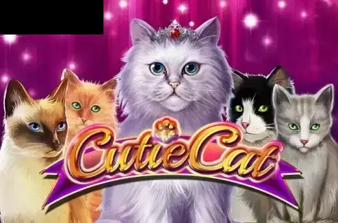 Cutie Cat