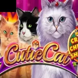 Cutie Cat CCS