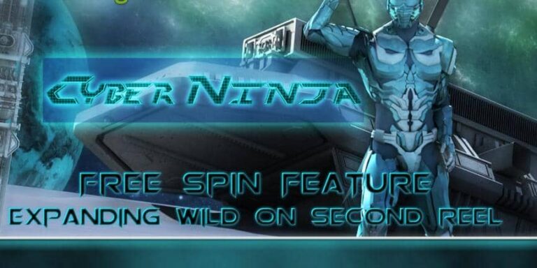 Cyber Ninja