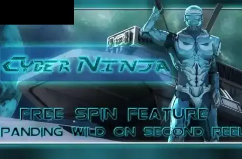 Cyber Ninja