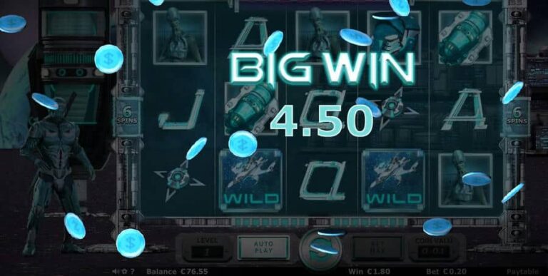 Cyber Ninja