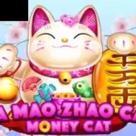 Da Mao Zhao Cai Money Cat