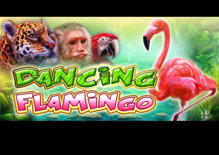 Dancing Flamingo