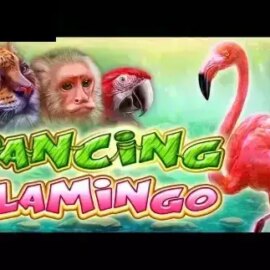 Dancing Flamingo