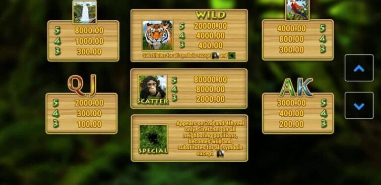 Deep Jungle