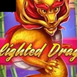 Delighted Dragon
