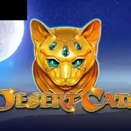 Desert Cats