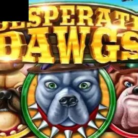 Desperate Dawgs