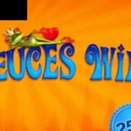 Deuces Wild 25 Hands (GVG)