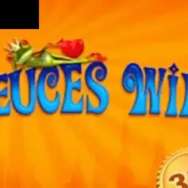 Deuces Wild 3 Hands (GVG)