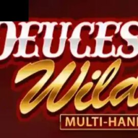 Deuces Wild Multi Hand (Playtech)