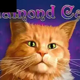 Diamond Cats