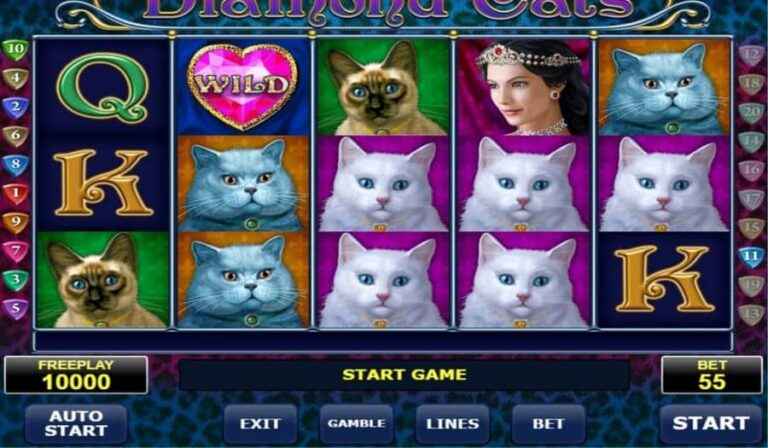 Diamond Cats