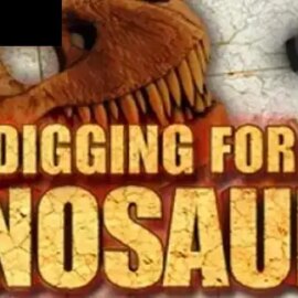 Digging for Dinosaurs