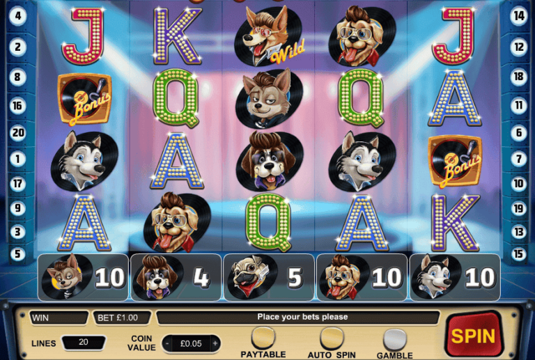 Dog ‘n’ Roll
