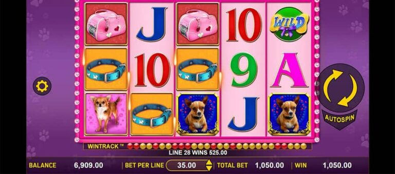 Doggone Lucky