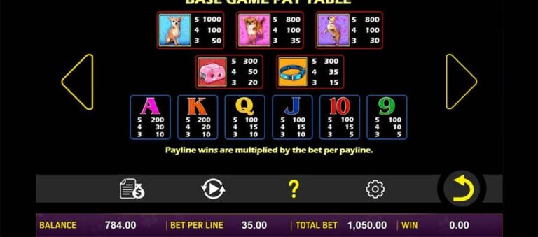 Doggone Lucky