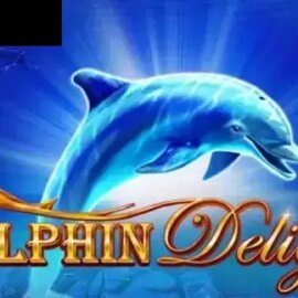 Dolphin Delight