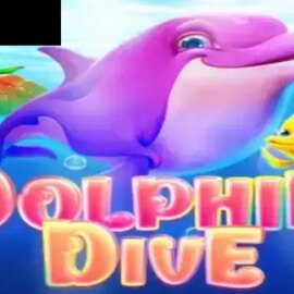 Dolphin Dive