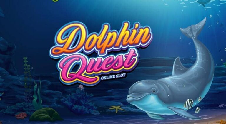 Dolphin Quest