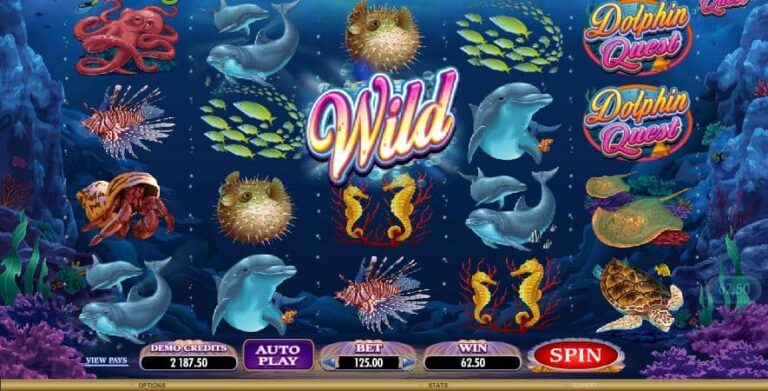 Dolphin Quest