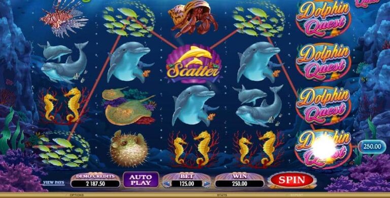 Dolphin Quest