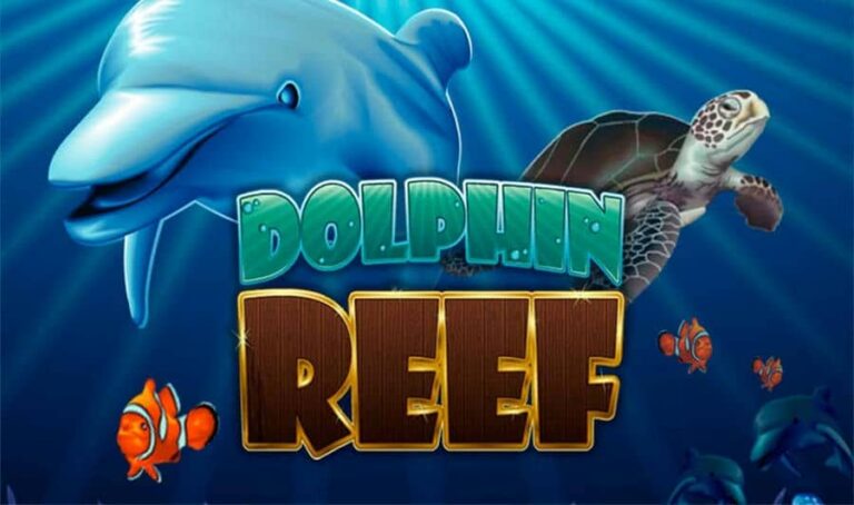 Dolphin Reef