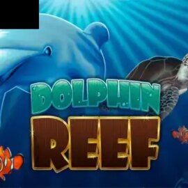 Dolphin Reef