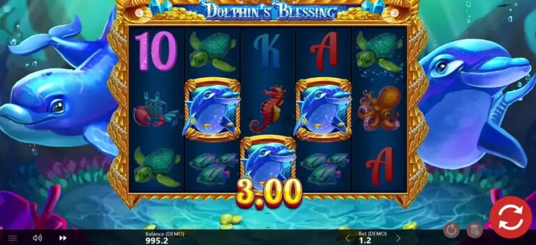 Dolphin’s Blessing