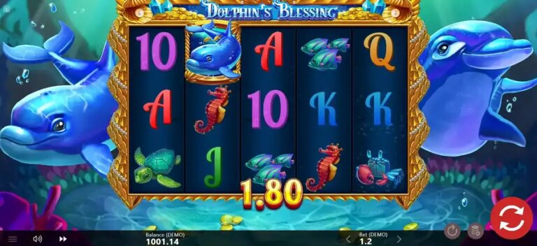 Dolphin’s Blessing