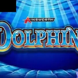 Dolphins Ainsworth