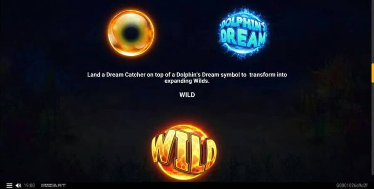 Dolphins Dream