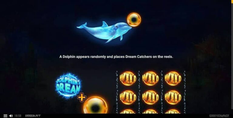 Dolphins Dream