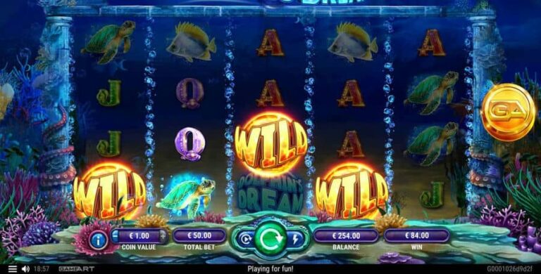 Dolphins Dream