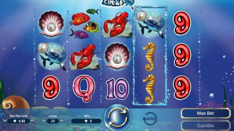 Dolphins Luck