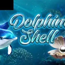 Dolphins Shell