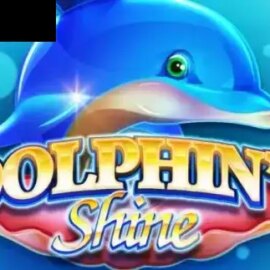Dolphins Shine