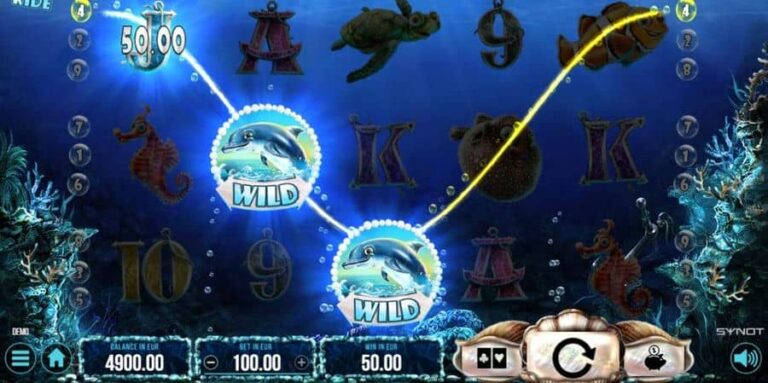 Dolphin’s Wild Ride
