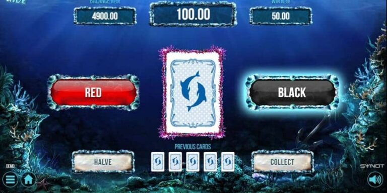 Dolphin’s Wild Ride
