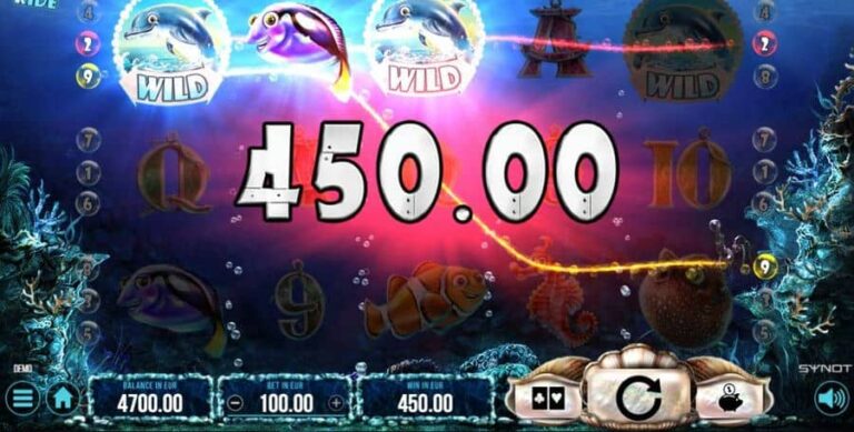 Dolphin’s Wild Ride
