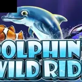 Dolphin’s Wild Ride