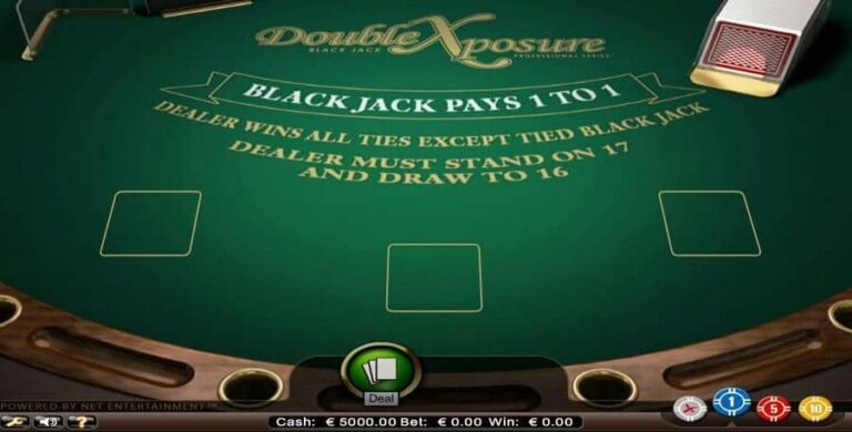 Double Exposure Blackjack Professional Series