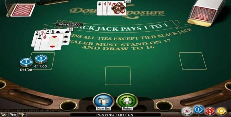 Double Exposure Blackjack Professional Series
