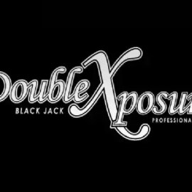 Double Exposure Blackjack Professional Series Low Limit