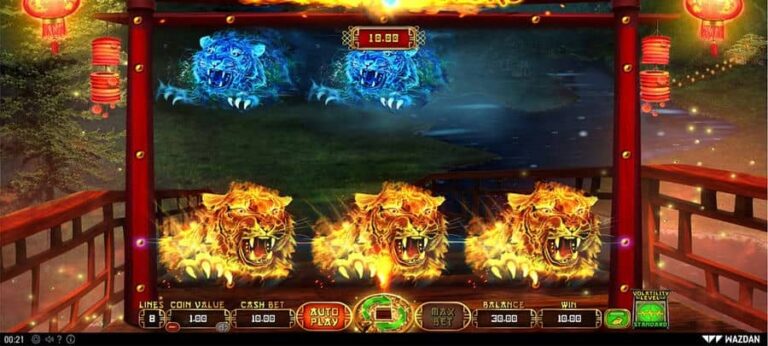 Double Tigers