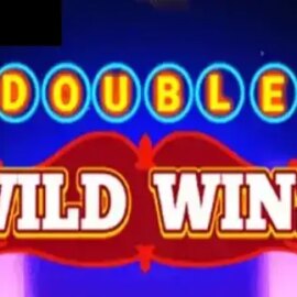 Double Wild Wins
